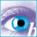 Bluefire Consulting Graduate Recruitment Agency Birmingham